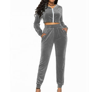 Diseño personalizado Crop Top Suit Ropa deportiva con capucha Velour Mujeres Sweat suit 2 piezas Set Chándal Mujeres con logotipo personalizado - Product Image 2