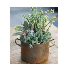 Nouveaux jardinières de Pot de fleur élégantes qualité créative jardinières galvanisées en métal accessoires de décoration de jardin pots de plantes au meilleur prix - Product Image 4