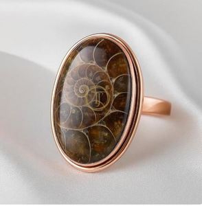 Ammonite Fossil Ring 925 Sterling Silver Ring Rose Gold Yellow Gold Plated Ring <b>Large</b> <b>Stone</b> Ring Fossil Ring - Product Image 2