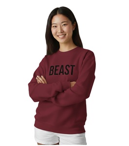 Sweat-shirts surdimensionnés personnalisés à col montant et manches longues avec logo frontal en polyester/coton pour femmes – Collection Hiver Streetwear – Vente en gros - Product Image 1
