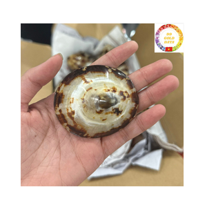 Copa de Martini de concha para recuerdo de boda personalizado y Artículos de bar de lujo inspirados en la costa - Product Image 1