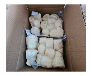 Vente en gros de taro congelé biologique en vrac exporté du Vietnam Taro congelé vietnamien - Product Image 5