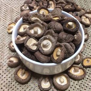 Champignons shiitake bio les plus vendus champignons séchés Vietnam - Product Image 2