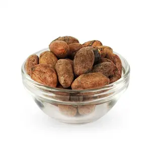 Sun Dried Raw Cocoa Beans | Cocoa Beans Suppliers | Manufacturers | Wholesalers