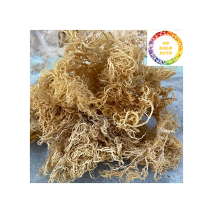 Algas marinas Eucheuma Cottonii de alta calidad secas y limpias para uso industrial y de grado alimenticio - Product Image 2