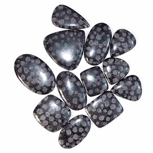 Lote al por Mayor de Piedras Preciosas de Coral Fósil Negro 100% Natural, Cabujones de Diferentes Formas y Tamaños para la Fabricación de Joyas - Product Image 2