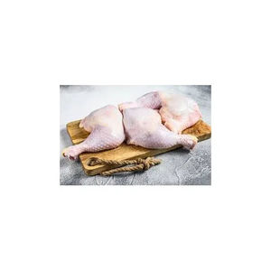 Dos de poulet halal congelé en vrac, qualité supérieure, certifié halal, viande saine, riche en protéines - Product Image 5
