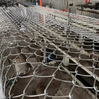 Clôture en treillis métallique de haute qualité, directement de l'usine, maille en chaîne de diamant, produit de qualité supérieure