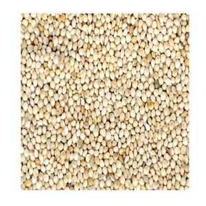 Millet jaune non-OGM de qualité supérieure en vente en vrac - Product Image 4