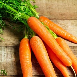 Achetez des carottes fraîches de qualité supérieure disponibles pour une livraison rapide et un approvisionnement en gros offrant une saveur naturelle et supérieure - Product Image 1