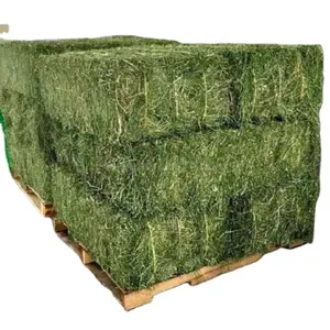 Satın organik yonca saman hollanda/kabayonca saman pelet hayvan yemi için satış toplu İngiltere