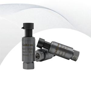 Transductor y Transmisor de Presión GPT200 Piezoresistivo G1/4 4-20mA para Líquidos Hidráulicos, RS485, Acero Inoxidable, IP68 - Product Image 1