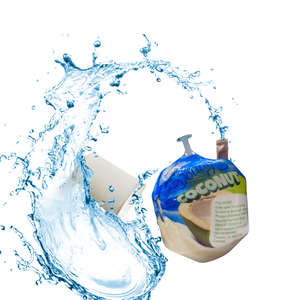 Noix de coco vietnamienne fraîche délicieusement pure hydratation-l'agriculture à son meilleur - Product Image 5