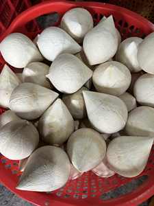 Noix de coco fraîche polie avec le meilleur prix FOB compétitif au Vietnam - Product Image 6