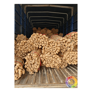 CORDE DE HYACINTHE D'EAU ENVIRONNEMENTALE/CORDE DU VIETNAM FABRIQUÉE À PARTIR DE MATÉRIAU NATUREL À BON PRIX - Product Image 2