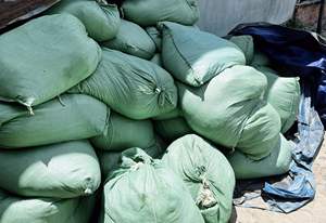 มอสจากทะเลสีทองมอสแห้งแบบไอริชปลอดกลูเตนมอสแห้งคุณภาพสูงมี2025 // - Product Image 6