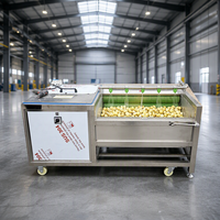 Commerciële Schilmachine, Hooggeautomatiseerde Schilmachine, Schilmachine met precisie-mesjes