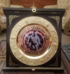 Cinturones de campeonato personalizados Trofeos Medallas y premios El símbolo definitivo de Victoria y excelencia Cinturones de Campeonato - Product Image 6