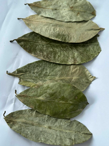 Feuilles de corossol séchées en vrac directement de l'usine, feuilles d'Annona Muricata pour sachets de thé, mélanges d'herbes et sachets - Product Image 2
