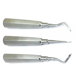 Premium Quality Dental Luxation Elevators Set of 10 Straight Curved Extraction Tools Dental Set Surgical Instruments - Product Image 5