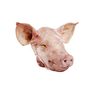 Têtes de porc congelées conservées pour maintenir la fraîcheur et la polyvalence culinaire - Product Image 6