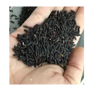 Good Quality Wholesale Price Herbal Rice Long-Grain 25 / 50 Kg PP Bag Black Rice With ISO Certification For Export