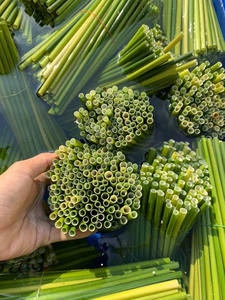 หลอดดูดหญ้า100% แบบย่อยสลายได้หลอดดูดแบบย่อยสลายได้ตามธรรมชาติจากเวียดนาม Eco2go - Product Image 2