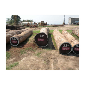 Approvisionnement en vrac de grumes wengé solide fourni avec une livraison fiable - Product Image 2