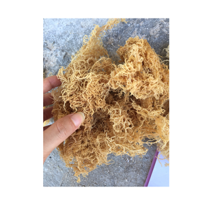 Délicieux cartilage d'algues séchées de qualité croustillante pour assaisonnement rehaussant la saveur de la soupe ou de la salade avec un arôme naturel - Product Image 3