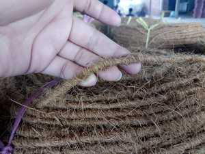 CUERDA DE COIR RIZADA DE COCO DE FIBRA DE COCO EN VIET NAM/CUERDA DE COIR DE ALTA CALIDAD - Product Image 3