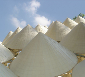 Chapeau conique vietnamien traditionnel en feuilles de palmier tissées à la main pour l'ombrage du soleil, port quotidien, fabriqué au Vietnam - Product Image 3