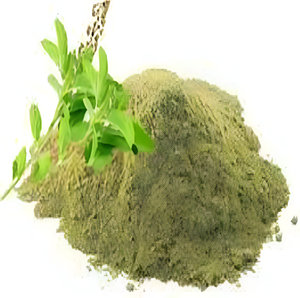 Polvo de planta entera de Tulsi puro Ocimum Sanctum hierba india antigua con propiedades divinas hoja de grado alimenticio extraída de la India - Product Image 3
