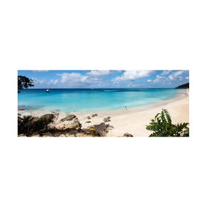 Beech <b>Log</b> for Solid Wood Furniture for Creating Structures-Available for Bulk Purchase - Product Image 4