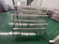 Nouveau système de cages automatiques grande capacité pour poules pondeuses, alimentation automatique, gain de place, équipement d'élevage avicole, cage en batterie pour l'œuvroge