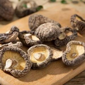 CHAMPIGNONS SHIITAKE SÉCHÉS SÉCHÉS/ARÔME INTENSE/PRÊT À L'EMPLOI POUR LES BOUILLONS, LES SAUCES ET LA CUISINE VÉGÉTARIENNE - Product Image 2