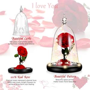 Type classique Rose Beauty <span class=keywords><strong>Rosa</strong></span> <span class=keywords><strong>Bella</strong></span> E Bestia 100% vraie Rose préservée Beauté et la bête avec lumière LED pour la Saint-Valentin - Product Image 4