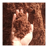 La tourbe de noix de coco pour la plantation est fabriquée à partir de fibre de noix de coco/sol de plantation biologique 5 kg/pcs