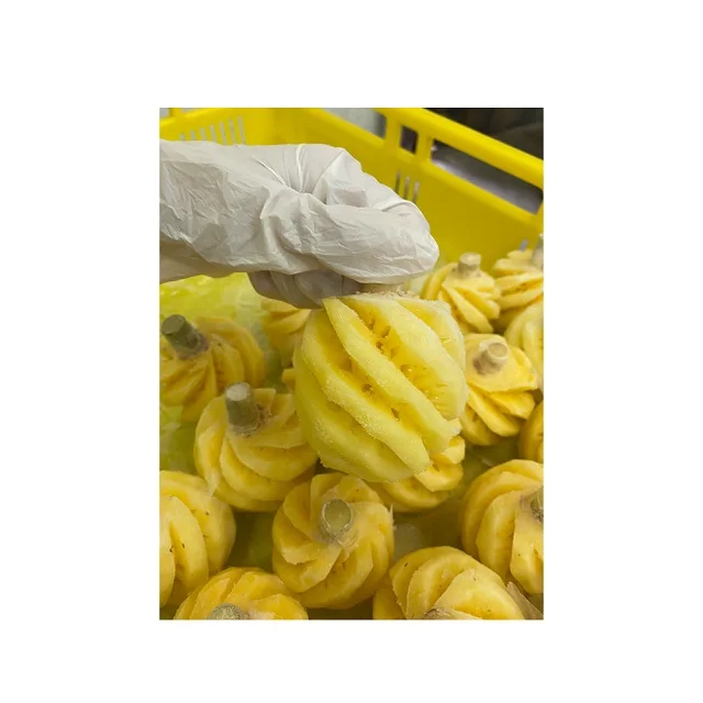 Wholesale Organic Processed Vietnam Frozen Fruit Export Standard Frozen Pineapple With Vacuum Packaging
