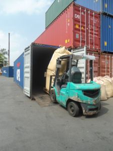 Green <b>Seaweed</b> Powder Green <b>Seaweed</b> made in Vietnam - Wholesale Green <b>Seaweed</b> Powder High quality Competitive price 100% natural - Product Image 6