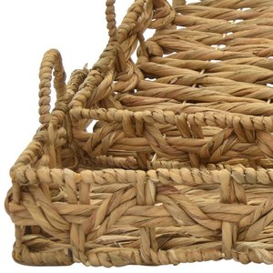 Bandejas para velas de fruta de jacinto de agua de la mejor nueva colección, bandejas de almacenamiento para servir, venta al por mayor, buen precio para decoración de restaurante - Product Image 3