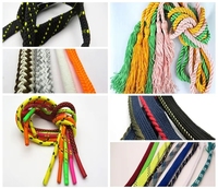Crochet de corde de lacet plat rond creux faisant la machine de tressage de tissage de fabricant