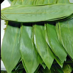 Feuilles de bambou de haute qualité pour des recettes saines et traditionnelles - Product Image 3