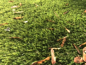 Dễ dàng để làm <span class=keywords><strong>s</strong></span>ạch và vật nuôi thân thiện cỏ nhân tạo miễn phí của kim loại nặng - Product Image 5