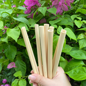 Pajitas de bambú reutilizables de alta calidad/pajita de bambú grabada con logotipo láser y embalaje personalizado - Product Image 4