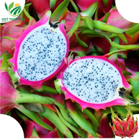 Vers Wit Drakenfruit/Vers Rood Drakenfruit Groothandelsprijs Hoge Kwaliteit Klaar Om Te Exporteren Uit Vietnam