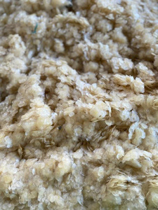 Dried fish scale high quality and carefully processed suitable for collagen production bulk sale - Product Image 5