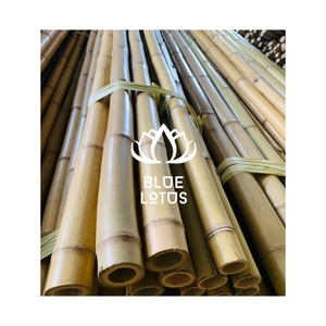 Poteau en bambou de qualité supérieure, qualité immaculée pour les projets d'architecture traditionnelle et matériau durable pour la conception de clôtures extérieures - Product Image 1