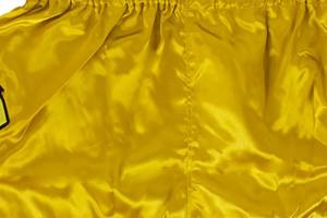 Premium Quality Custom Men's Muay Thai <b>Shorts</b> High Grade MMA <b>Gym</b> Boxing <b>Shorts</b> Made in Pakistan for Wrestling Martial Arts Wear - Product Image 4