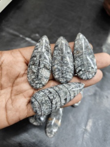 Orthoceras Cabochons Pierres précieuses en vrac Guérison Fait à la main Mélange lisse Forme dans toutes les tailles Belle Orthoceras Cabochon Pierres précieuses en vrac - Product Image 3