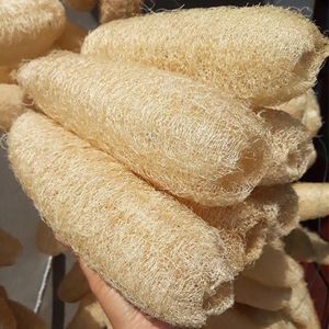 Vente en gros d'éponge de bain en luffa doux naturel prix le moins cher fournisseur vietnamien - Product Image 4